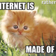 Illustration for article titled Why Cats Rule the Internet Instead of Dogs